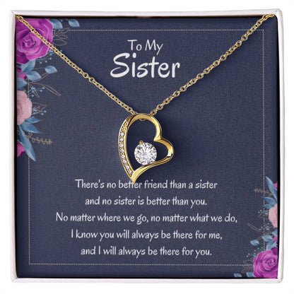 Heartfelt Sister Gift - There's no better friend than a sister - Forever Love Necklace - Personalize Memories