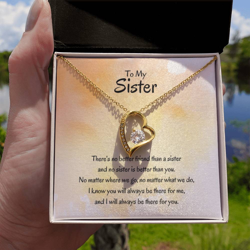 Gift for Sister - There's no better friend than a sister - Forever Love Necklace - Personalize Memories
