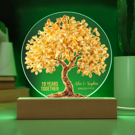 Acrylic Circle LED 11