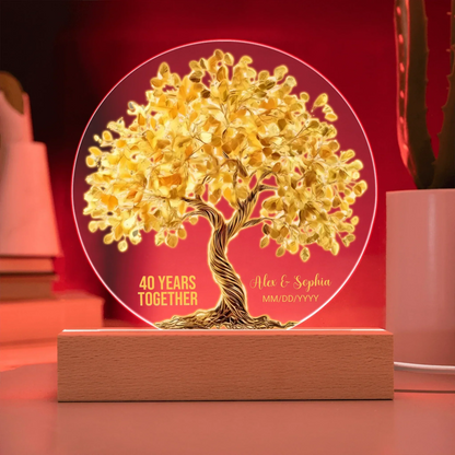 Acrylic Circle LED 13