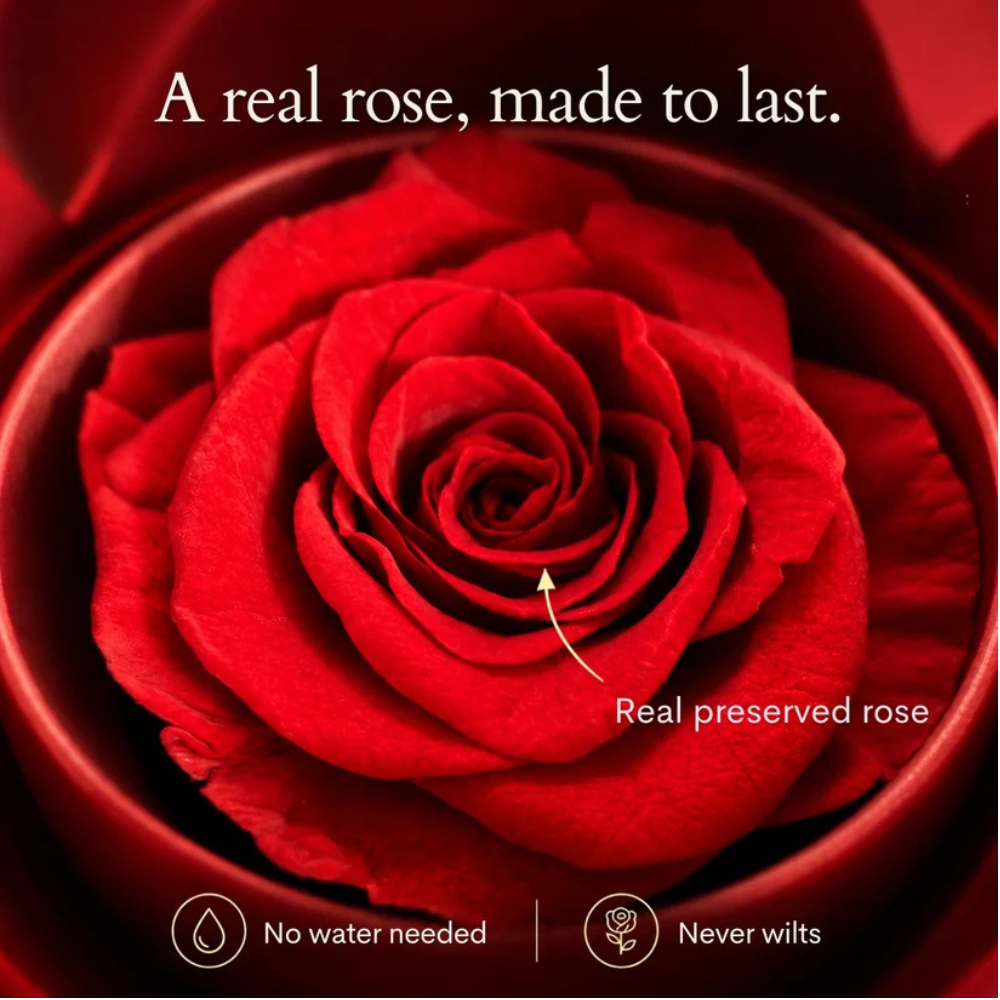 Eternal Rose Bear with Engraved Necklace